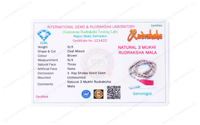 3 Mukhi Japa Rudraksha Mala