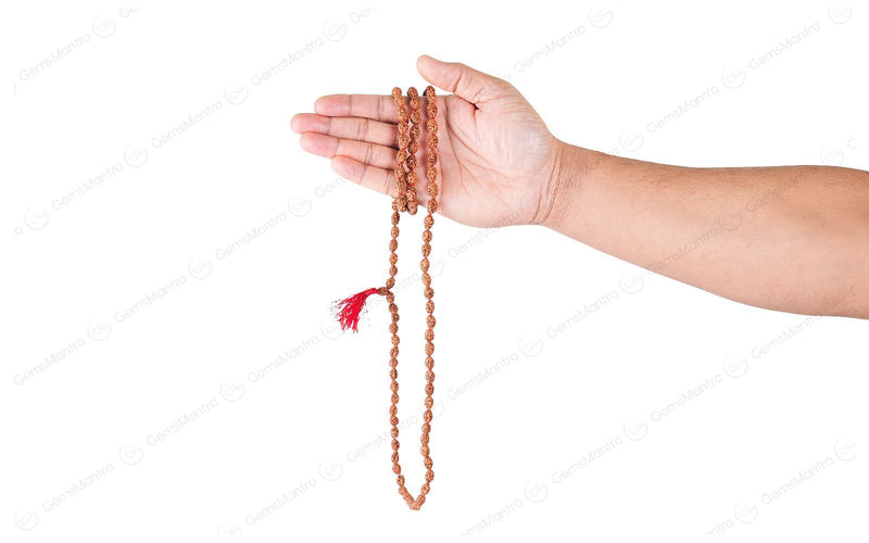 3 Mukhi Japa Rudraksha Mala
