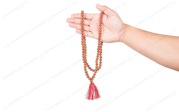 6 Mukhi Japa Rudraksha Mala