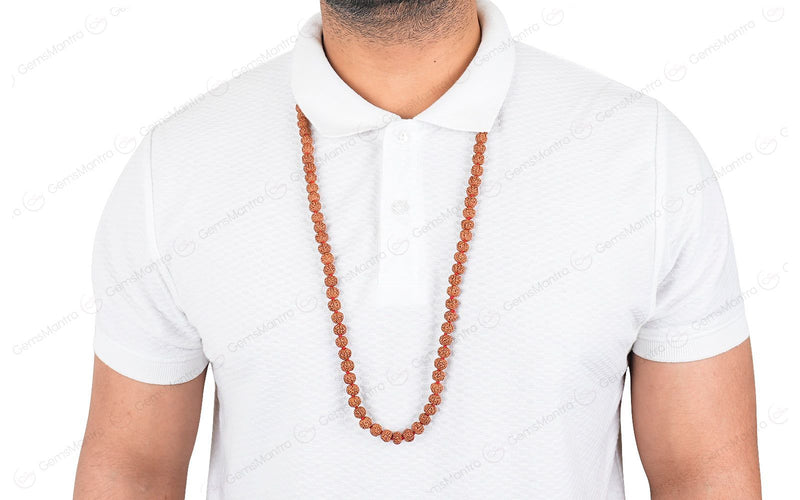 6 Mukhi Japa Rudraksha Mala