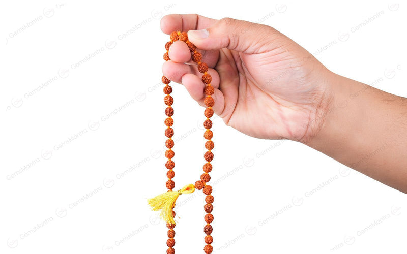 5 Mukhi Japa Rudraksha Mala