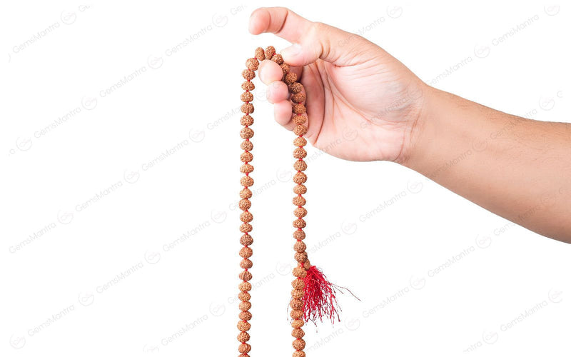 7 Mukhi Japa Rudraksha Mala