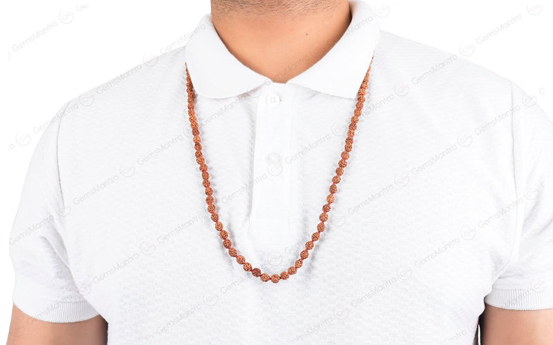 2 Mukhi Japa Rudraksha Mala