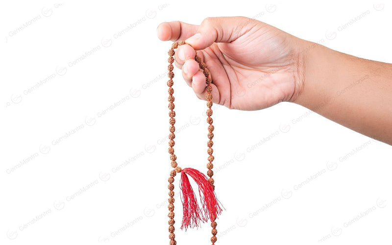 2 Mukhi Japa Rudraksha Mala
