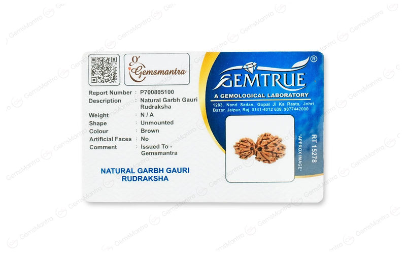 5 Mukhi Silver Rudraksha Mala - with Natural Garbh-Gauri Rudraksha Pendant