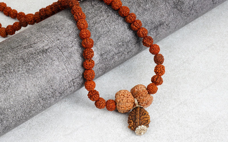 Swasth Vriddhi Mala - 7 Mukhi and 2 Mukhi Rudraksha