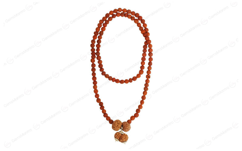 Prem Vriddhi Mala - 6 Mukhi, 7 Mukhi and Gauri Shankar Rudraksha (AB)