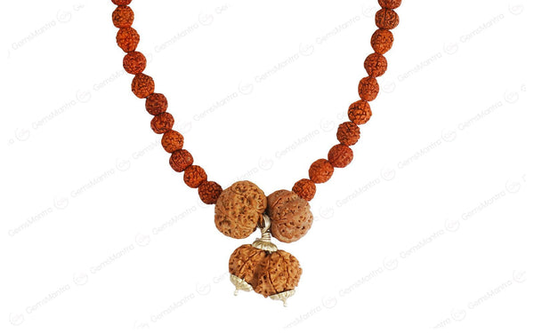Prem Vriddhi Mala - 6 Mukhi, 7 Mukhi and Gauri Shankar Rudraksha (AB)