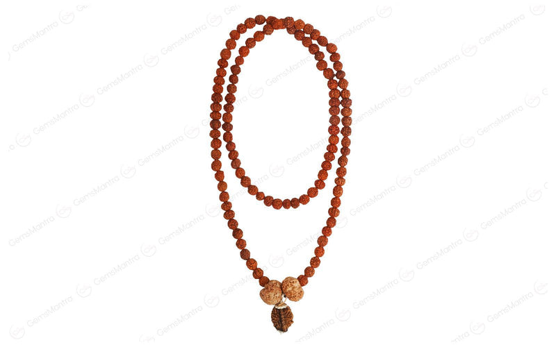 Swasth Vriddhi Mala - 7 Mukhi and 2 Mukhi Rudraksha