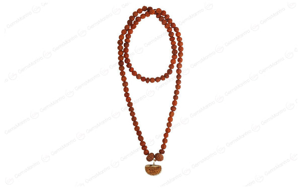 Dhanlaxmi Vriddhi Mala - 1 Mukhi and 9 Mukhi Rudraksha