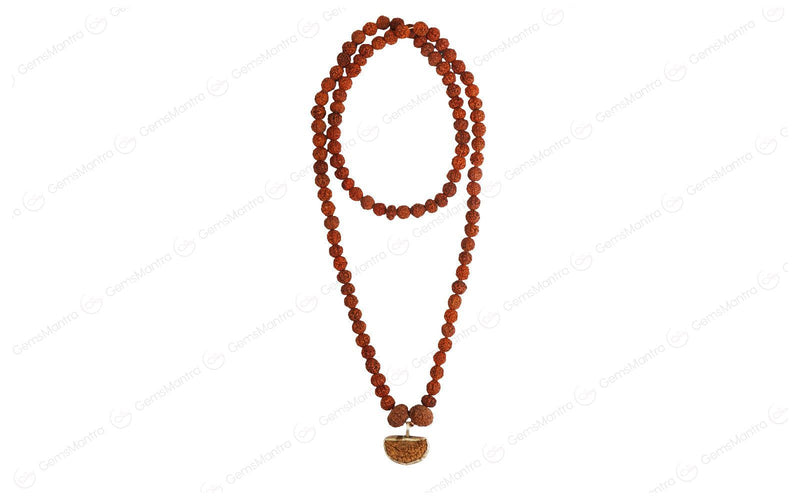 Dhanlaxmi Vriddhi Mala - 1 Mukhi and 9 Mukhi Rudraksha