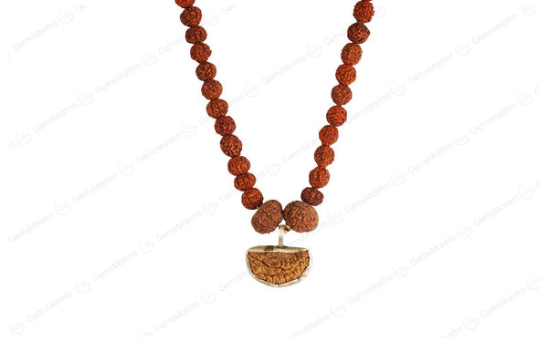 Dhanlaxmi Vriddhi Mala - 1 Mukhi and 9 Mukhi Rudraksha