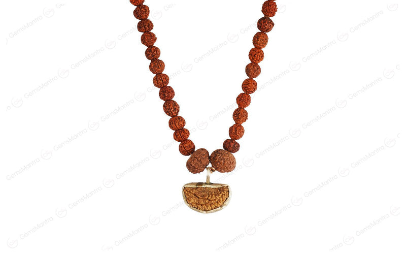 Dhanlaxmi Vriddhi Mala - 1 Mukhi and 9 Mukhi Rudraksha