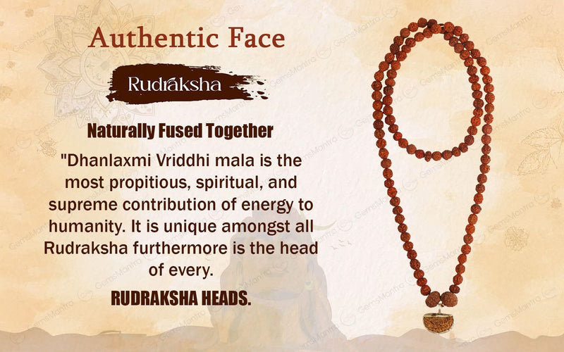 Dhanlaxmi Vriddhi Mala - 1 Mukhi and 9 Mukhi Rudraksha