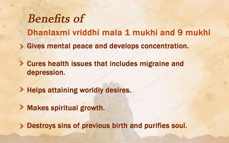 Dhanlaxmi Vriddhi Mala - 1 Mukhi and 9 Mukhi Rudraksha