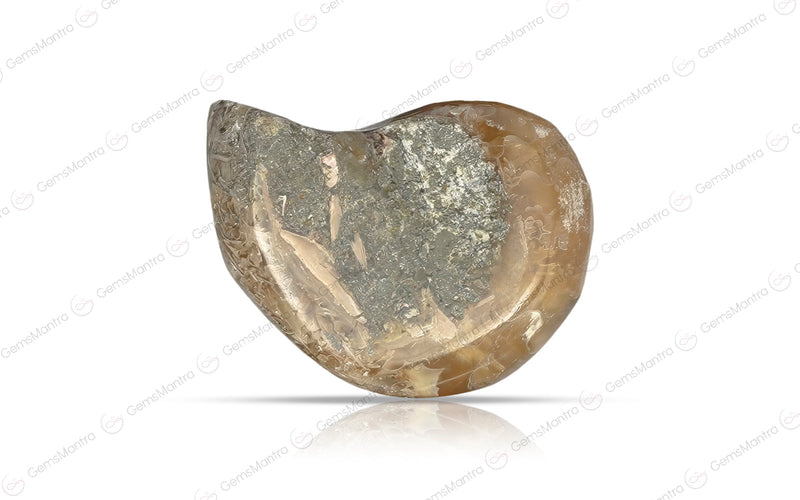 Ammolite  - 6.68 Carats