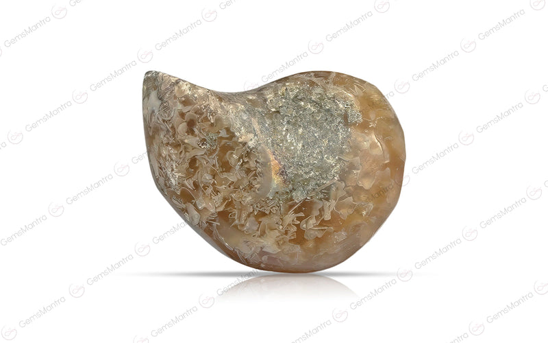 Ammolite  - 6.68 Carats