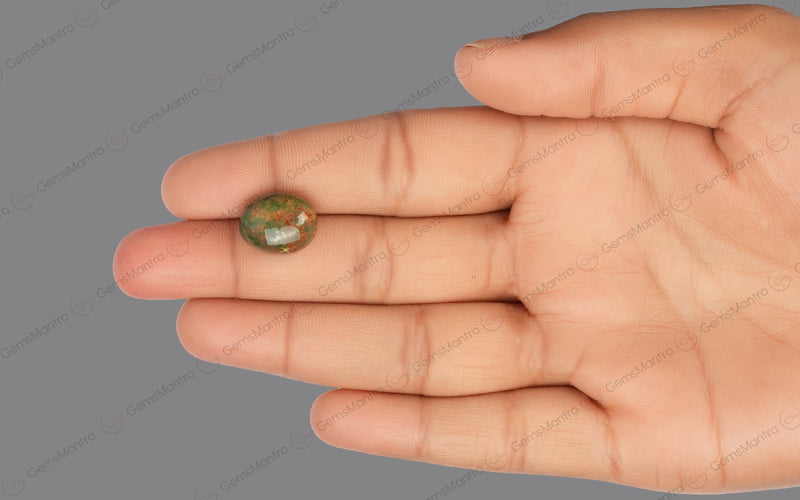 BloodStone (8.7 Carats)