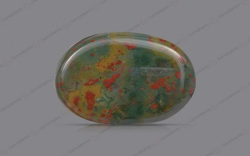 BloodStone (6.6 Carats)