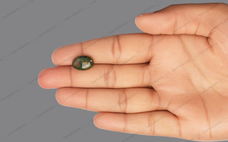 BloodStone (6.6 Carats)