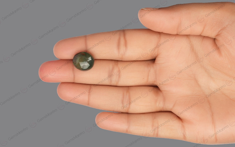BloodStone (9.46 Carats)