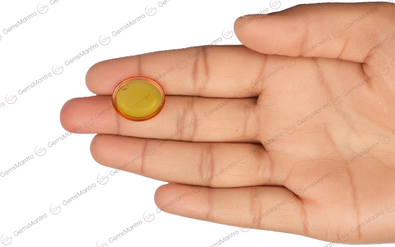 Amber - Yellow  (5.23 Carats)