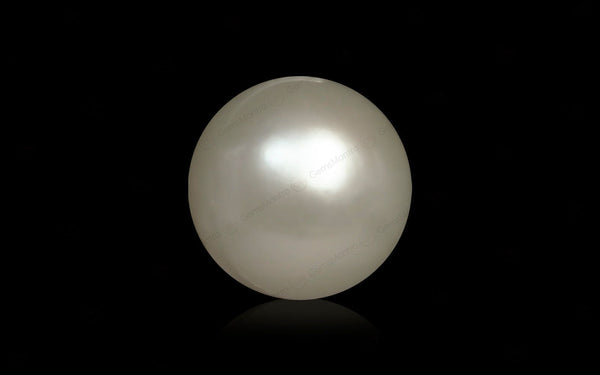 South Sea Pearl - 8.8 Carats