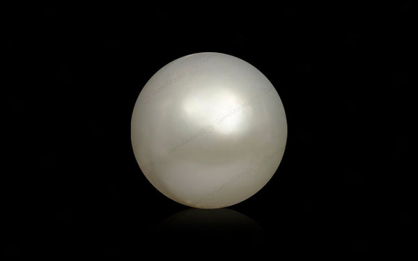 South Sea Pearl - 8.8 Carats