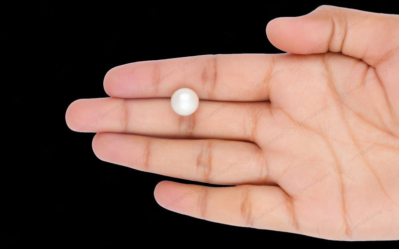 South Sea Pearl - 8.8 Carats