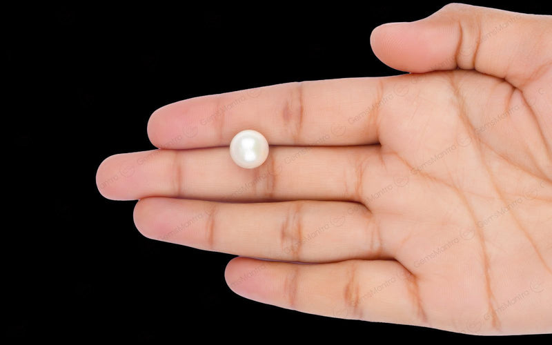 South Sea Pearl - 8.61 Carats