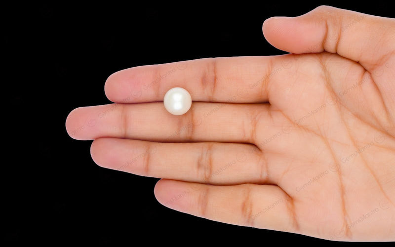 South Sea Pearl - 8.73 Carats