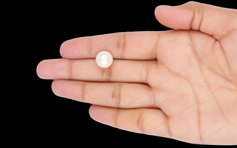 South Sea Pearl - 9.46 Carats