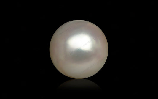 South Sea Pearl - 9.04 Carats
