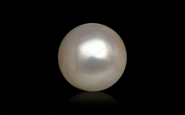 South Sea Pearl - 9.04 Carats