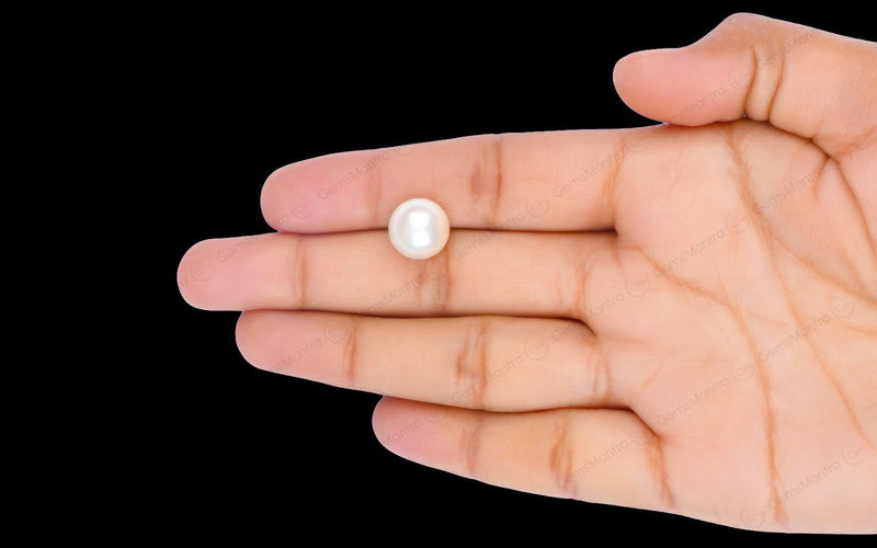 South Sea Pearl - 9.04 Carats