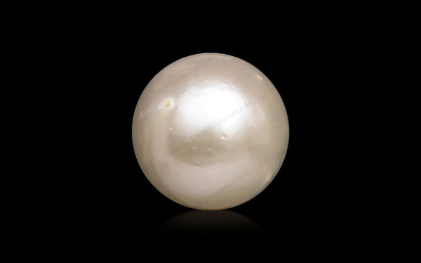 South Sea Pearl - 9.12 Carats