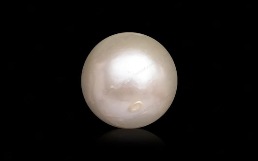 South Sea Pearl - 9.12 Carats