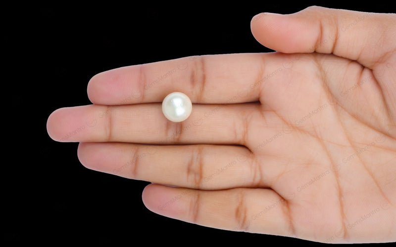 South Sea Pearl - 9.91 Carats