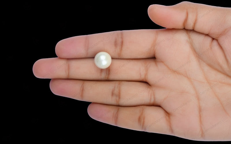 South Sea Pearl - 9.18 Carats