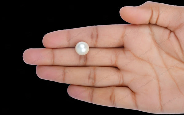 South Sea Pearl - 9.28 Carats