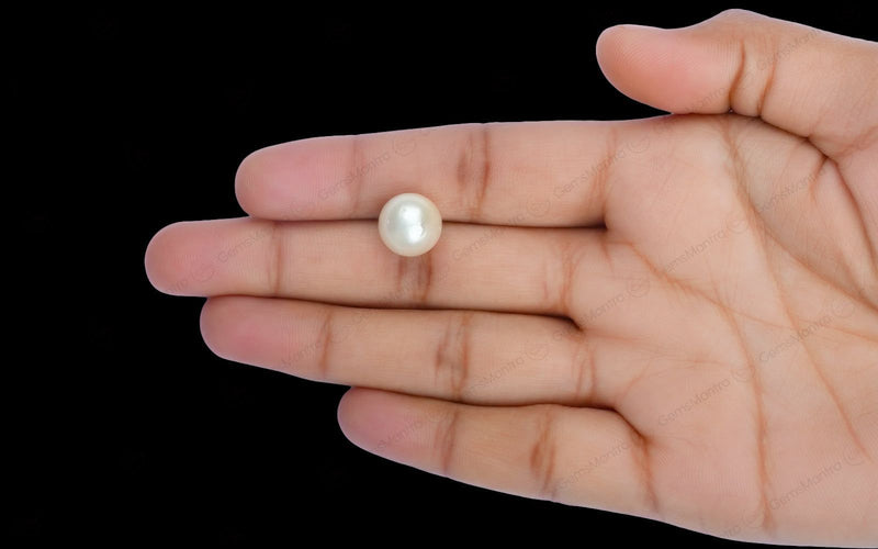 South Sea Pearl - 9.22 Carats