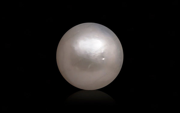 South Sea Pearl - 10.23 Carats