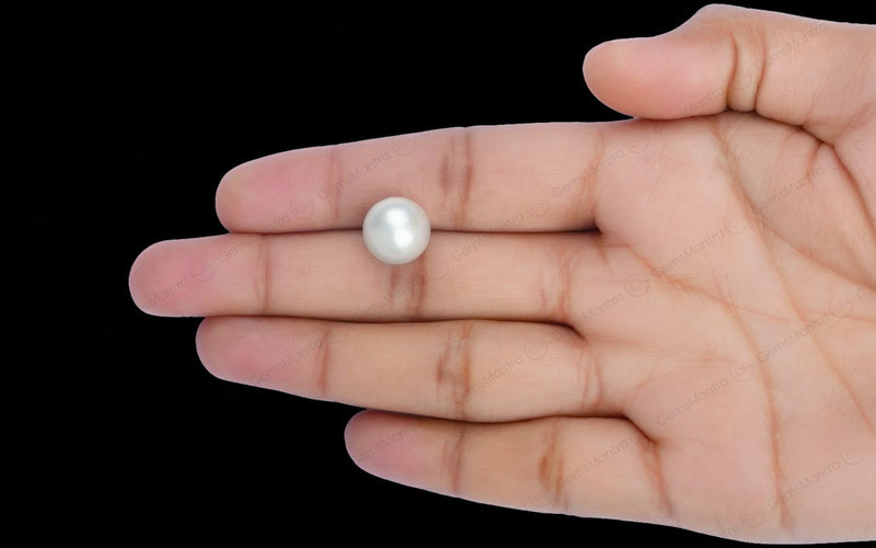 South Sea Pearl - 10.23 Carats