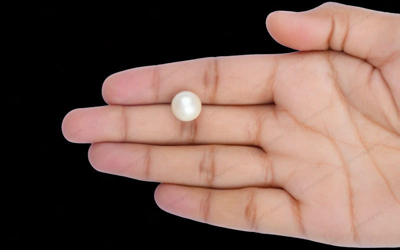 South Sea Pearl - 10.04 Carats
