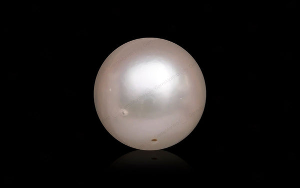 South Sea Pearl - 10 Carats