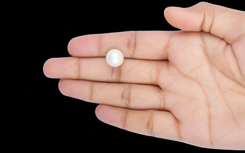 South Sea Pearl - 10 Carats