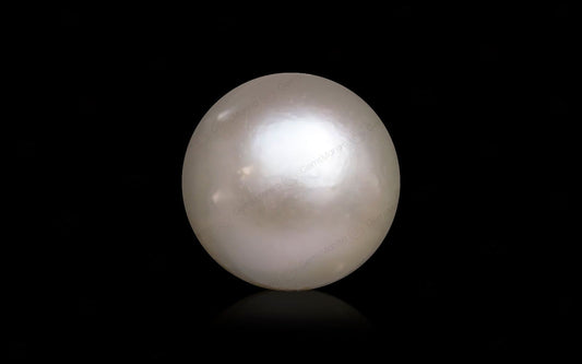 South Sea Pearl - 10.41 Carats