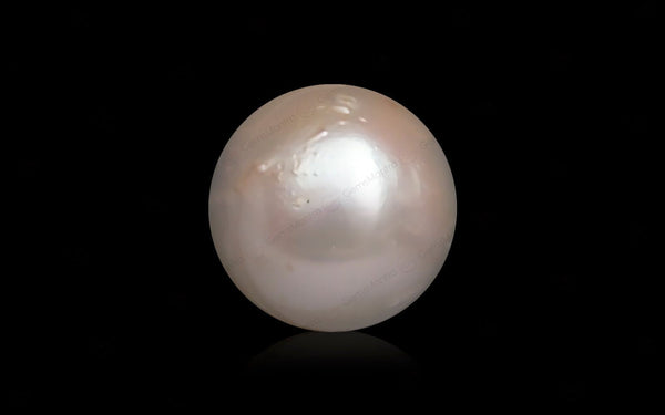 South Sea Pearl - 10.1 Carats