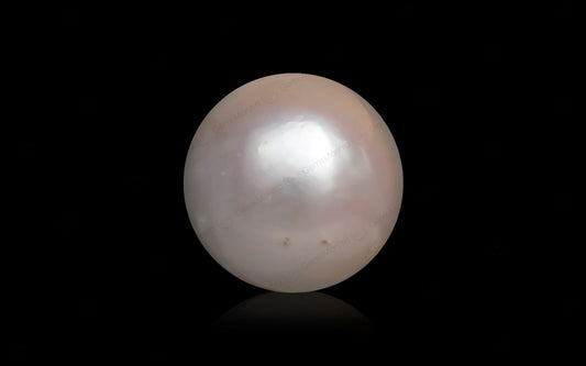 South Sea Pearl - 10.1 Carats