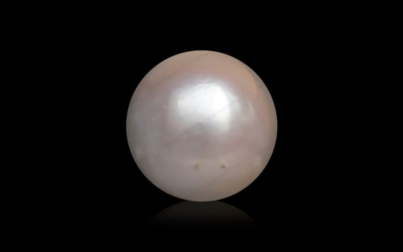 South Sea Pearl - 10.1 Carats